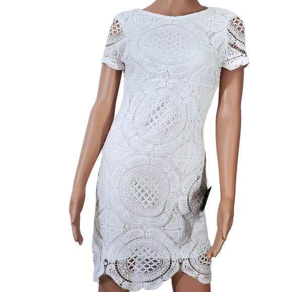 NWT Lulus | Crochet Lace Scalloped Edge Short Sleeve Sheath Dress Backless - Picture 1 of 11